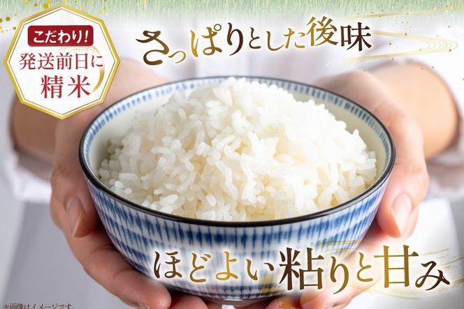 米 令和7年産 ななつぼし 6kg (5kg＋1kg) 6ヶ月 定期便 計36kg [松田産業 北海道 砂川市 12260866] お米 こめ コメ ナナツボシ 精米 おこめ 定期