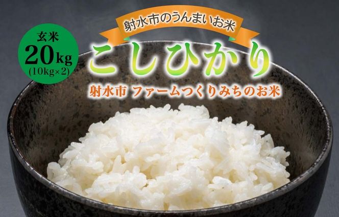 【射水市】【射水の美味しいお米】ファームつくりみちのお米 作道米 R8年度産こしひかり20kg（10kg×2）【玄米】 | 米 こめ コメ こしひかり ブランド米 銘柄米 人気 ランキング 富山 富山米 北陸 北陸米 富山コシヒカリ 北陸コシヒカリ 玄米コシヒカリ 20キロ 20キロ米 20kg 20kg米