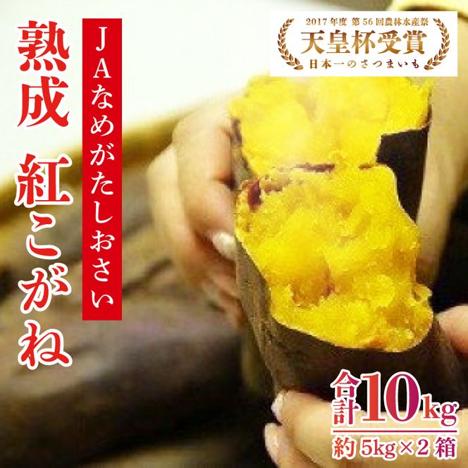 【行方かんしょ】『天皇杯受賞』JA「紅こがね」さつまいも約10kg(AE-107)