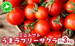 【 2025年 発送 】先行予約 北海道 伊達 ミニトマト うま ラブリーサクラ 約3kg  ジューシー プチ トマト 甘い 濃厚 彩り 鮮やか 野菜 産地直送