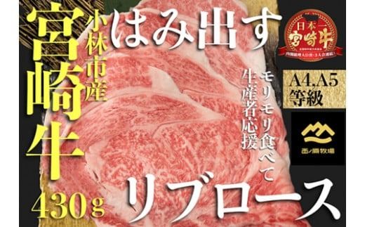 [西ノ原牧場直送]A4等級以上小林市産宮崎牛はみ出すリブロース 430g(牛肉 宮崎牛 黒毛和牛 ブランド牛 お肉 すき焼き 焼肉 内閣総理大臣賞)