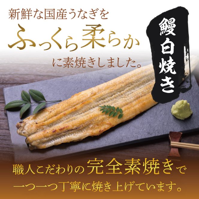 満足サイズ！国内産うなぎ白焼(酒蒸し)120～140g 2尾　計240g以上|うなぎ 鰻 白焼 酒蒸し 満足 茨城県 行方市（AD-143-1）