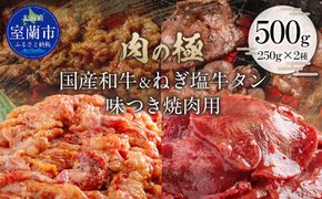 国産和牛味付き焼き肉用とねぎ塩牛タン味付き焼き肉用セット 500g（各250g×1） MROBM067