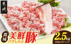 「都城美鮮豚」バラしゃぶ2.5kg_AC-5402_(都城市) 豚肉 ブランド豚 都城美鮮豚 銘柄豚 豚バラしゃぶしゃぶ肉 250g×10パック 2.5kg 炒め物 丼もの