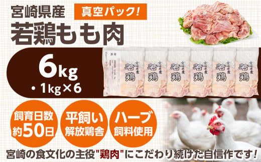 宮崎県産若鶏 もも肉(6kg)_16-G301_(都城市) 若鶏 鶏肉 モモ肉 真空 宮崎県 平飼い ハーブ ふっくら ジューシー たっぷり ストック 唐揚げ 親子丼 冷凍 便利 保水性 やわらか ふっくら ジューシー