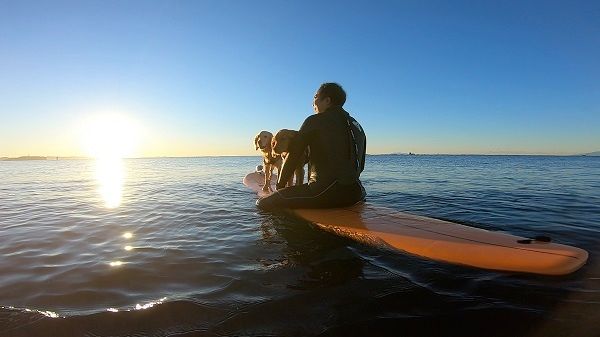 (5)海洋散骨セレモニー券（大切なご家族（ペット）とのお別れセレモニー） 海へ散骨 