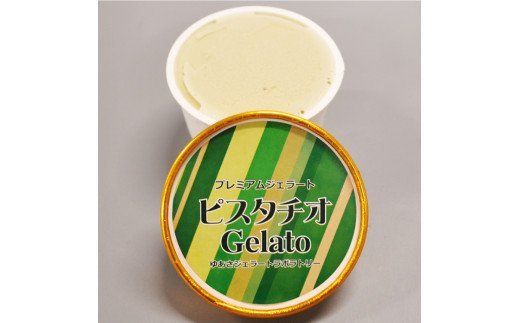 プレミアムジェラート／ピスタチオ 12個セット／ジェラート シャーベット アイスクリーム 100ml ／ゆあさジェラートラボラトリー【sgtb700-11】