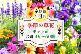 [定期便／年3回] 季節の草花 詰め合わせ｜花苗 ポット苗 宿根草 多年草 一年草 園芸 ガーデニング [0134]