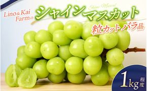 【2026年先行予約】 【粒カットバラ品】 Lino＆Kai Farmのシャインマスカット(1kg程度） / 朝採れ ぶどう 岡山 真庭市 シャインマスカット 高級 ギフト 大粒 果物 ご自宅用 人気 産地直送 国産 数量限定 種なし 【linokai003-02】