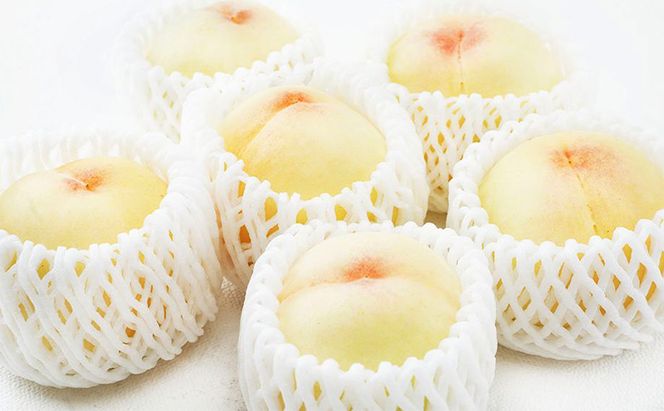 桃 2026年 先行予約 岡山 白桃 6玉（1玉330g以上）等級：ロイヤル指定／糖度：12度以上 木箱入り もも モモ 岡山県産 国産 フルーツ 果物 ギフト 