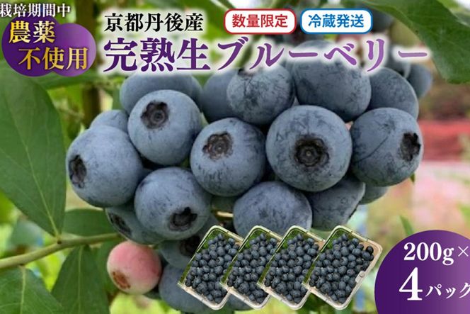 【先行予約／数量限定40】完熟ブルーベリー 生果 200g×4パック（栽培期間中農薬・化学肥料・除草剤不使用）（2026年7月上旬～発送）　KU00069