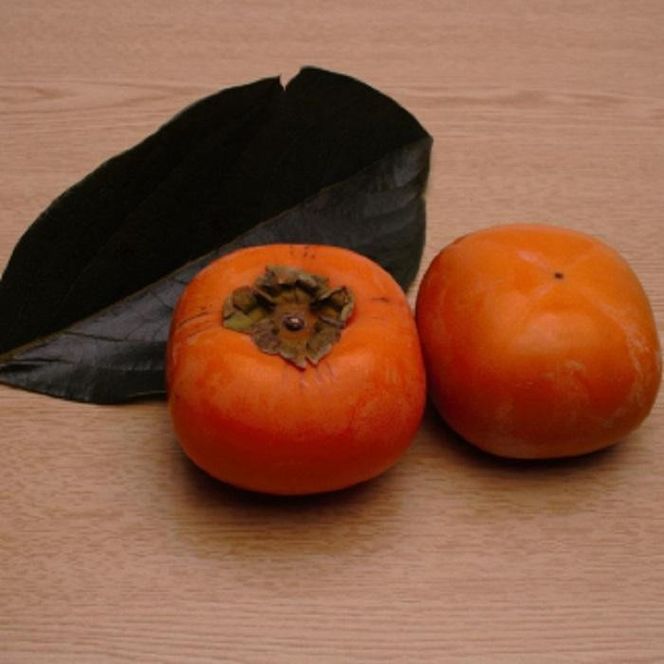 ［先行予約］厳選 たねなし柿 約5kg［刀根早生・平核無柿（ひらたねなしかき）］[カキ・種無柿・種無し柿・種なし柿・無核柿］［IKE283］ 303446_BB97392