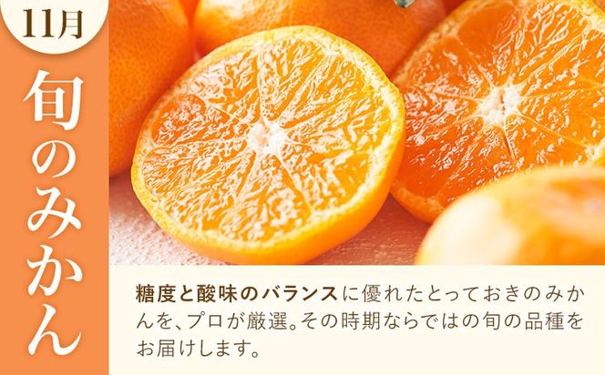 旬の柑橘定期便 山本果樹園 旬のみかん 約5kg パール柑 約5kg 晩白柚 2玉（Lサイズ）《11月上旬-2月下旬頃出荷》果物 フルーツ ザボン 熊本県 特産品---hkw_ymk_7_mo3---