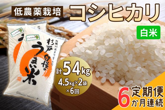 新米 [定期便／6ヶ月] 低農薬栽培のコシヒカリ《白米》計54kg (4.5kg×2袋×6ヶ月連続)｜おいしい お米 コメ こめ ご飯 ごはん 白米 玄米 お取り寄せ 直送 贈り物 贈答品 ふるさと納税 埼玉 杉戸 [0544]