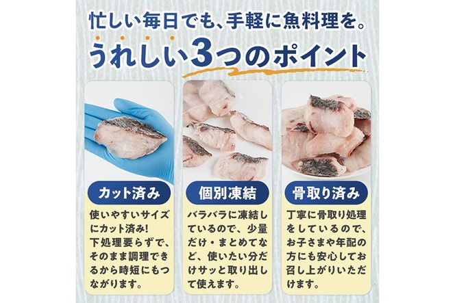 宮崎県産 骨取り 白身魚 ニベ 切身 (計1kg) カット済み 切り身 便利 小分け 冷凍 個別凍結 時短 国産【UZ-20】【請関水産】