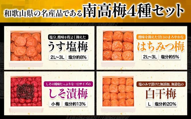 高級南高梅食べ比べ4種 計1kg 紀州塗箱 網代模様仕上げ 澤株式会社《90日以内に出荷予定(土日祝除く)》和歌山県 日高町 梅干し 梅 うめ ウメ 南高梅 うす塩梅 はちみつ梅 しそ漬け梅 白干梅 紀州南高梅 紀州塗 送料無料---wsh_swknu4syu_90d_22_24000_1kg---