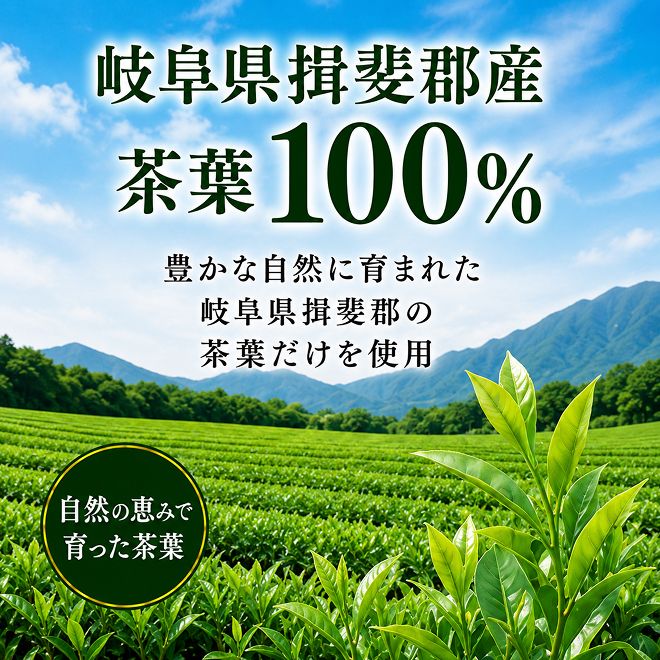 美濃いび茶(抹茶入り）500ml　1ケース24本入 お茶 緑茶 ペットボトル 緑茶飲料 