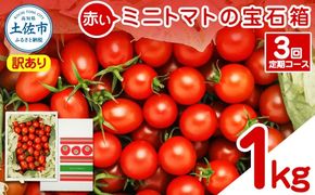 【訳あり】【全3回定期便】【先行予約】訳あり 赤いミニトマトの宝石箱 約1kg〈2026年12月から配送開始〉 約1キロ 3回定期便 トマト とまと ミックス 詰め合わせ セット 野菜 料理 サラダ マリネ 浅漬け おやつ 弁当 訳アリ 家庭用 高知県 土佐市【ファーム輝】 [BQBM012]