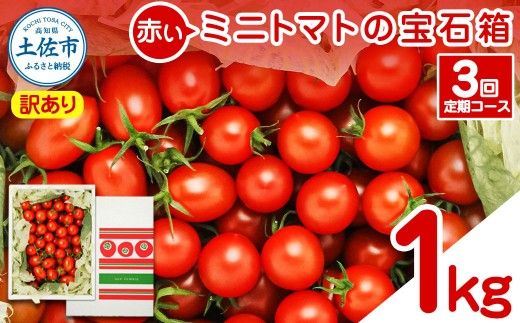 【訳あり】【全3回定期便】【先行予約】訳あり 赤いミニトマトの宝石箱 約1kg〈2026年12月から配送開始〉 約1キロ 3回定期便 トマト とまと ミックス 詰め合わせ セット 野菜 料理 サラダ マリネ 浅漬け おやつ 弁当 訳アリ 家庭用 高知県 土佐市【ファーム輝】 [BQBM012]