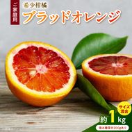 AB7374_Y_【直営限定】《先行予約・2026年3月～発送》希少柑橘 ご家庭用 ブラッドオレンジ　サイズ混合/ご家庭用/1kg(傷み補償200g)