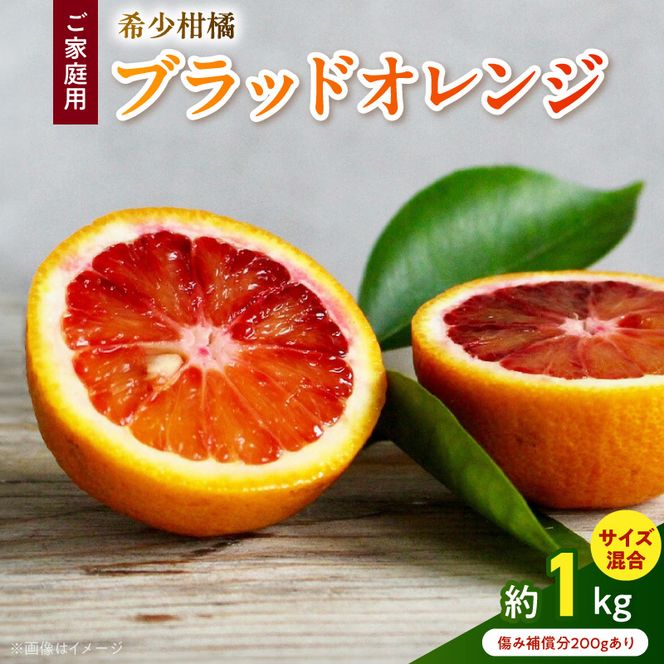 AB7374_Y_【直営限定】《先行予約・2026年3月～発送》希少柑橘 ご家庭用 ブラッドオレンジ　サイズ混合/ご家庭用/1kg(傷み補償200g)