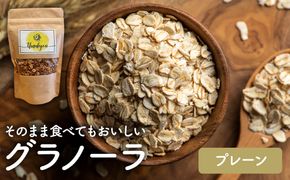 【Your,GURT&GRANOLA】グラノーラ プレーン | グラノーラ シリアル 朝食 朝ごはん 食品 おやつ はちみつ 送料無料 岐阜県 瑞穂市