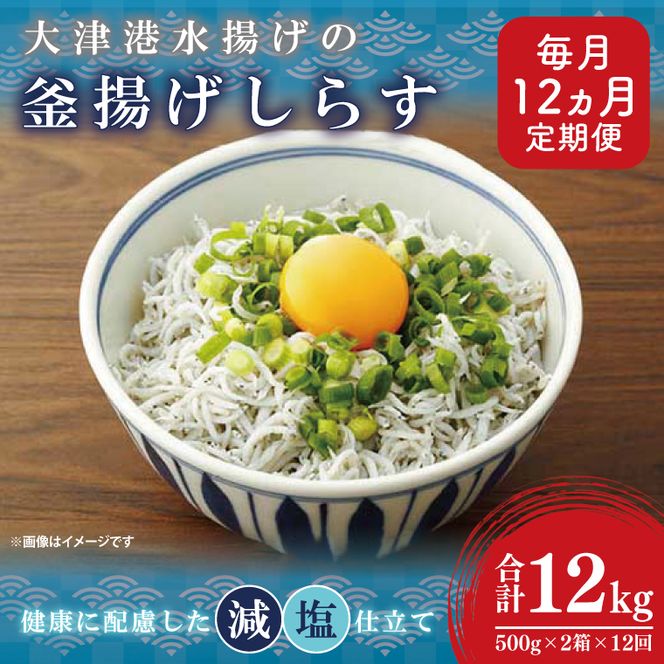 大津港水揚げの釜揚げしらす＜12ヶ月定期便＞＜毎月＞　1kg×12回【海鮮 魚介類 しらす シラス ご飯のお供 たっぷり お手頃 個包装】(AS215)