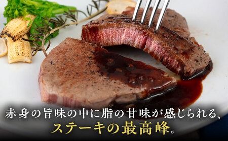 博多和牛 ヒレステーキ 600g (100g×6枚) 糸島市 / ヒサダヤフーズ 黒毛和牛 牛肉 ヒレ肉 雌牛 [AIA043]