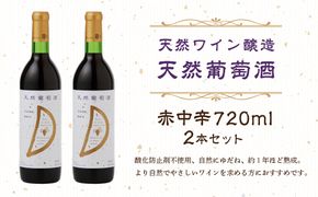 天然ワイン醸造　酸化防止剤無添加　天然葡萄酒　赤中辛 720ml　2本セット 【kw0134-0069】