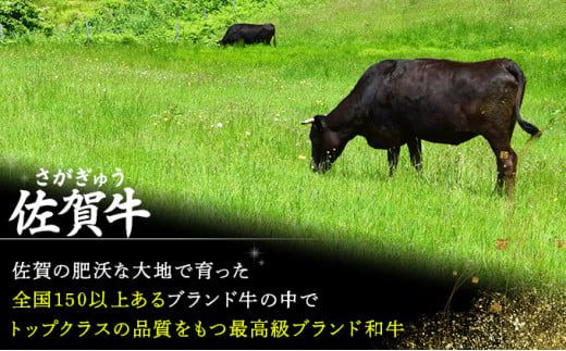 1500g 佐賀牛｢トウガラシ(トンビ)ブロック｣ N-53