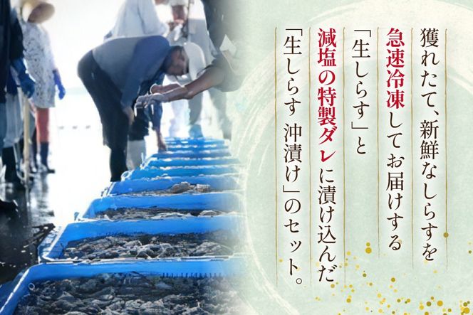 生しらす 160ｇｘ2パック と沖漬け 100g ✕ 2パック 計520g 食べ比べ 小分け セット [丸三水産 静岡県 吉田町 22424697] しらす シラス 冷凍 海鮮 ご飯のお供