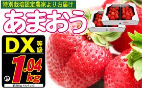 あまおう DX等級のみ 約1.04kg 約260g×4パック ※配送不可：北海道・東北・沖縄・離島 果物 苺 フルーツ デザート 旬 大粒 中玉 大玉 旬のあまおう 