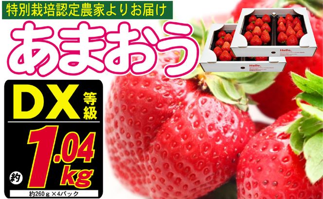 あまおう DX等級のみ 約1.04kg 約260g×4パック ※配送不可：北海道・東北・沖縄・離島 果物 苺 フルーツ デザート 旬 大粒 中玉 大玉 旬のあまおう 