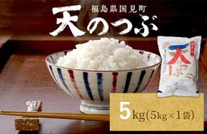 【令和8年産】米　国見町産　天のつぶ  5kg　5kg×1袋 ※2026年10月～発送