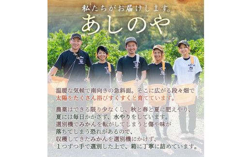 ZE6015n_有田の不知火(しらぬひ) 【訳あり　家庭用】　6kg (S～4Lサイズ混合)まごころ手選別