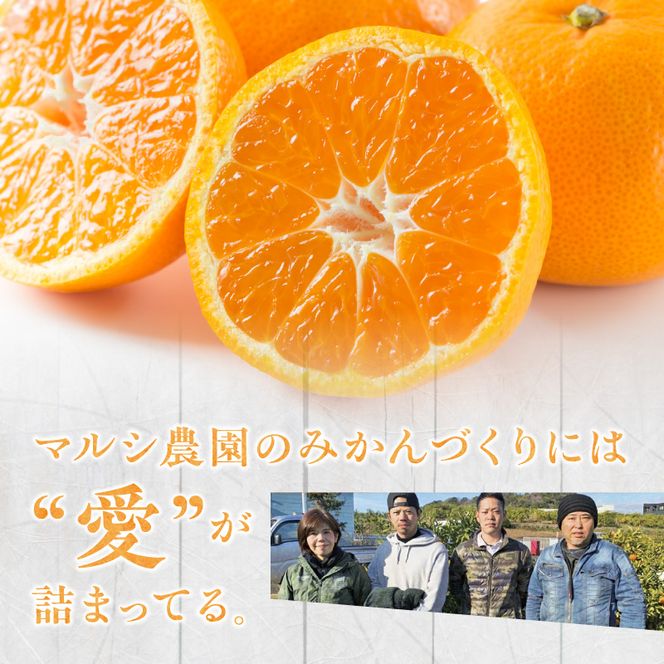 《2026年11月中旬～2027年1月中旬頃に順次発送予定》【2026年先行予約】有田みかん　L,2Lサイズ混合　約10kg_BF6069