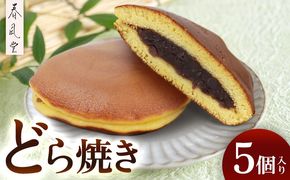 和菓子屋「春風堂」どら焼き　5個入り 和菓子 お菓子 おやつ スイーツ 和スイーツ あんこ つぶあん どらやき ドラヤキ 老舗 手作り しっとり ご当地 グルメ 美味しい ギフト 個包装 国産 沖縄県 沖縄市