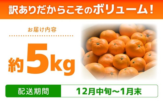 【2026年12月中旬～発送】【訳あり】家庭用 南高みかん 5kg / みかん ミカン 蜜柑 果物 フルーツ / 南島原市 / 南高果樹農業協同組合[SGI001]