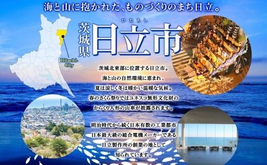 167-22-006　こまつ　しらす厳選セット シラス 本気のシラス 釜揚げ ちりめん 山椒 しらす丼 魚 魚介 海の幸 グルメ 人気 ギフト 贈り物 贈答品 食べ比べ 送料無料 小松水産 茨城県 日立市