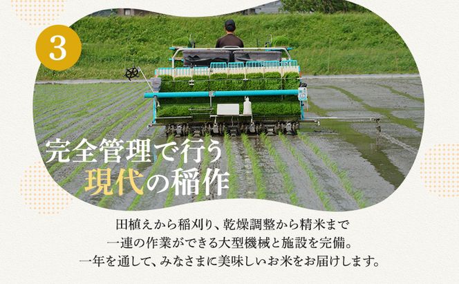 【2月お届け】若狭町コシヒカリ5kg 米 お米 こしひかり 福井県
