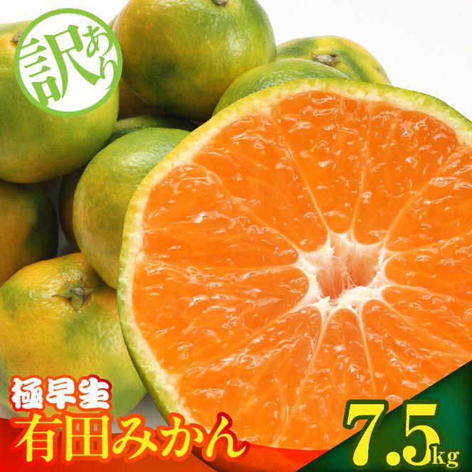 【2026年先行予約】訳あり みかん 極早生 箱込 7.5kg ( 内容量 6.8kg ) サイズミックス 有田みかん 和歌山県産_MK1083