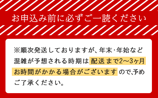 [大人気ハンバーグの定期便] 全2回/2ヶ月毎 合計20個 北海道 十勝牛 合挽ハンバーグ 150g×10個【 セット 国産牛 牛肉 豚肉 ハンバーグ パティ パテ 惣菜 小分け 冷凍 国産 北海道 十勝 幕別 ふるさと納税 送料無料 】