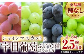 ＜先行予約受付中！2026年9月以降順次発送予定＞宇目葡萄 3種詰め合わせ＋シャインマスカット入り(合計2.5kg・4～5房) ピオーネ 安芸クイーン ハニービーナス ぶどう 種なし 大分県 佐伯市【AY72】【さいき農林公社】
