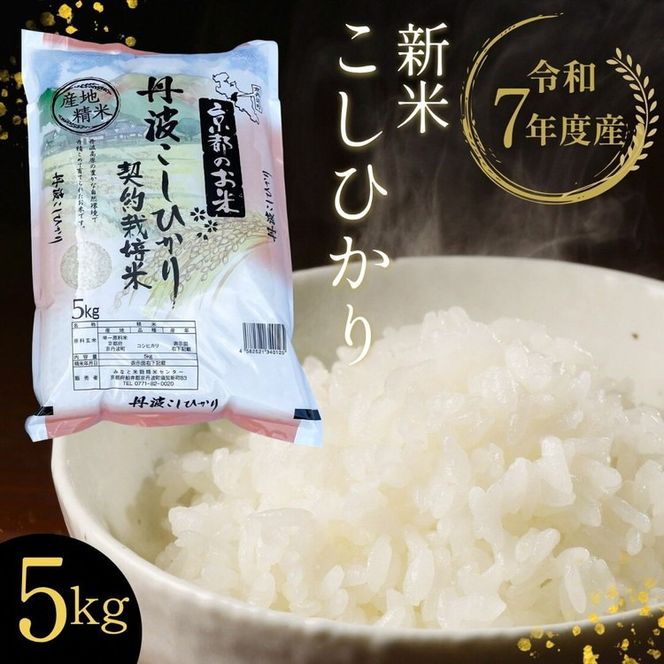 ys{Tszyߘa7NY VāzsOgETY Ђ 5kg   ĂĂ͂s_͔| āEHӒmI RVqJ sOgY ʌ 󂠂 ȈՕtkCEEւ̔zs