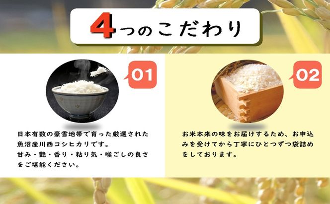 魚沼産コシヒカリ　厳選　低温管理　自社精米　5kg×2袋　新潟　こしひかり