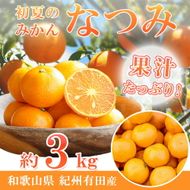 G7071_【2027年先行予約】初夏のみかん なつみ 3kg