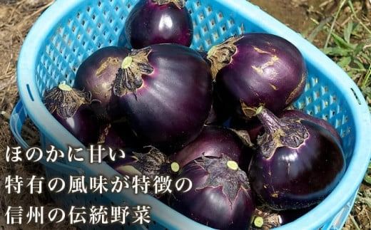 小布施丸なす 約2.8kg 8～12個 ［小布施屋］ 茄子 ナス 信州 伝統野菜 やさい 長野県産 お取り寄せグルメ 食品 数量限定 期間限定 【2025年8月～10月上旬発送】 ［A-227］