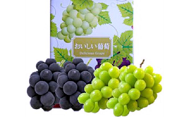 ぶどう 2026年 先行予約 シャインマスカット 約1.4kg 2房 オーロラブラック 約1.2kg 2房 葡萄 岡山県 赤磐市産 フルーツ 果物