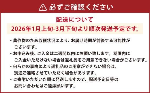 ギフト配送 約450g×2パック 計900g EX 福岡県産 あまおう 特別栽培【2026年1月上旬から3月下旬発送予定】 いちご 苺 イチゴ ベリー 果物 フルーツ お取り寄せ デザート おやつ