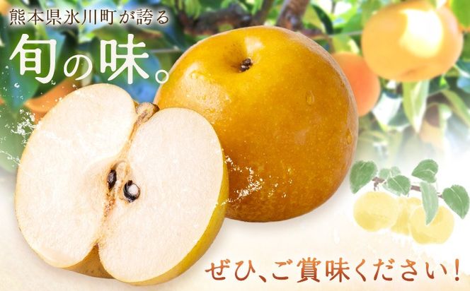 先行予約 旬 梨 フルーツ 豊水梨 約2kg 豊水 株式会社エフビーネット《8月中旬-9月上旬頃出荷》熊本県 氷川町 熊本県 氷川町産 なし ナシ 旬の梨 果物 くだもの スイーツ---hkw_efn_4_2kg---